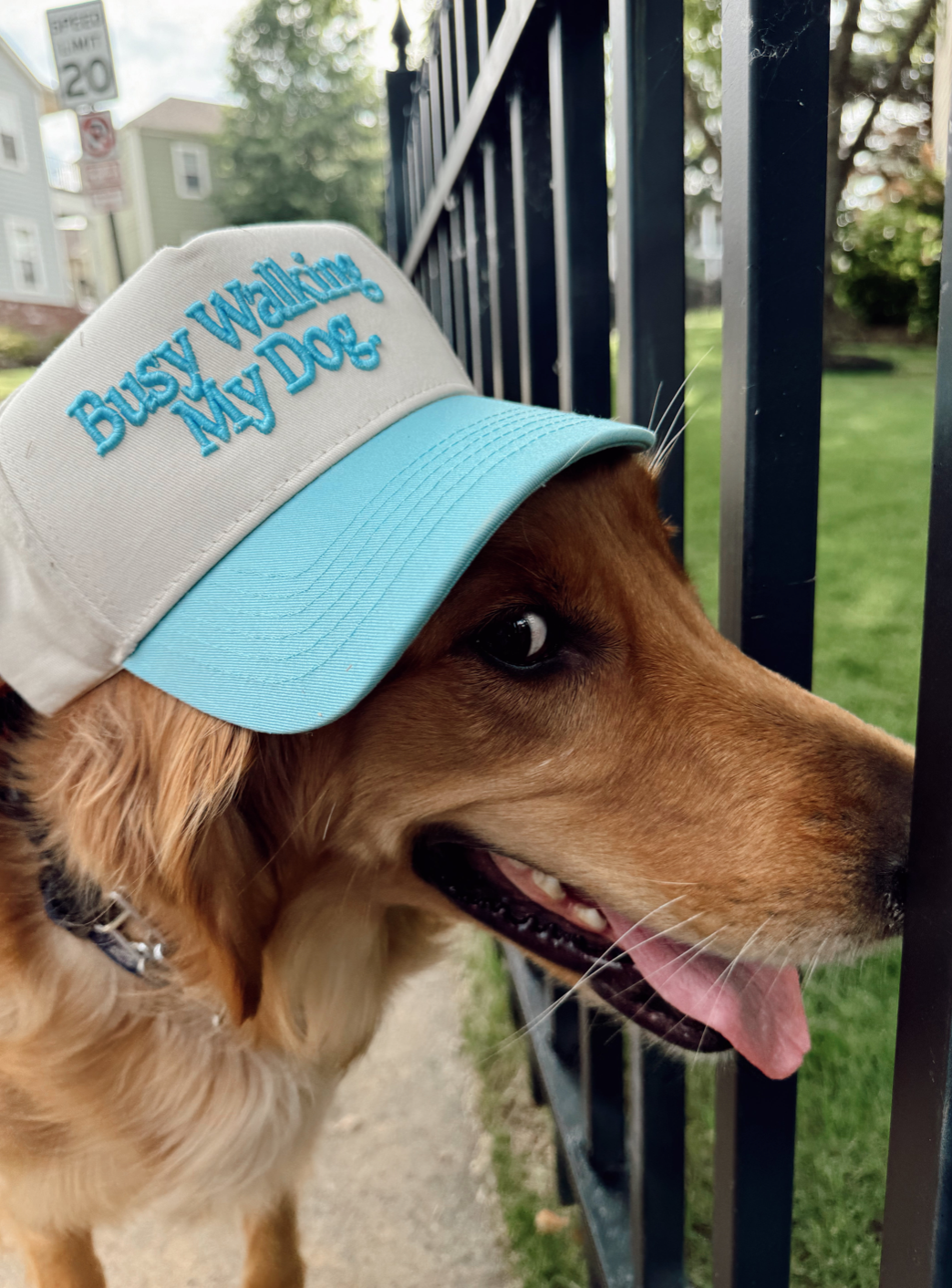 Busy Walking My Dog. Vintage Trucker Hat: Baby Blue