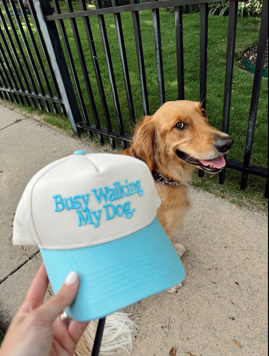 Busy Walking My Dog. Vintage Trucker Hat: Baby Blue