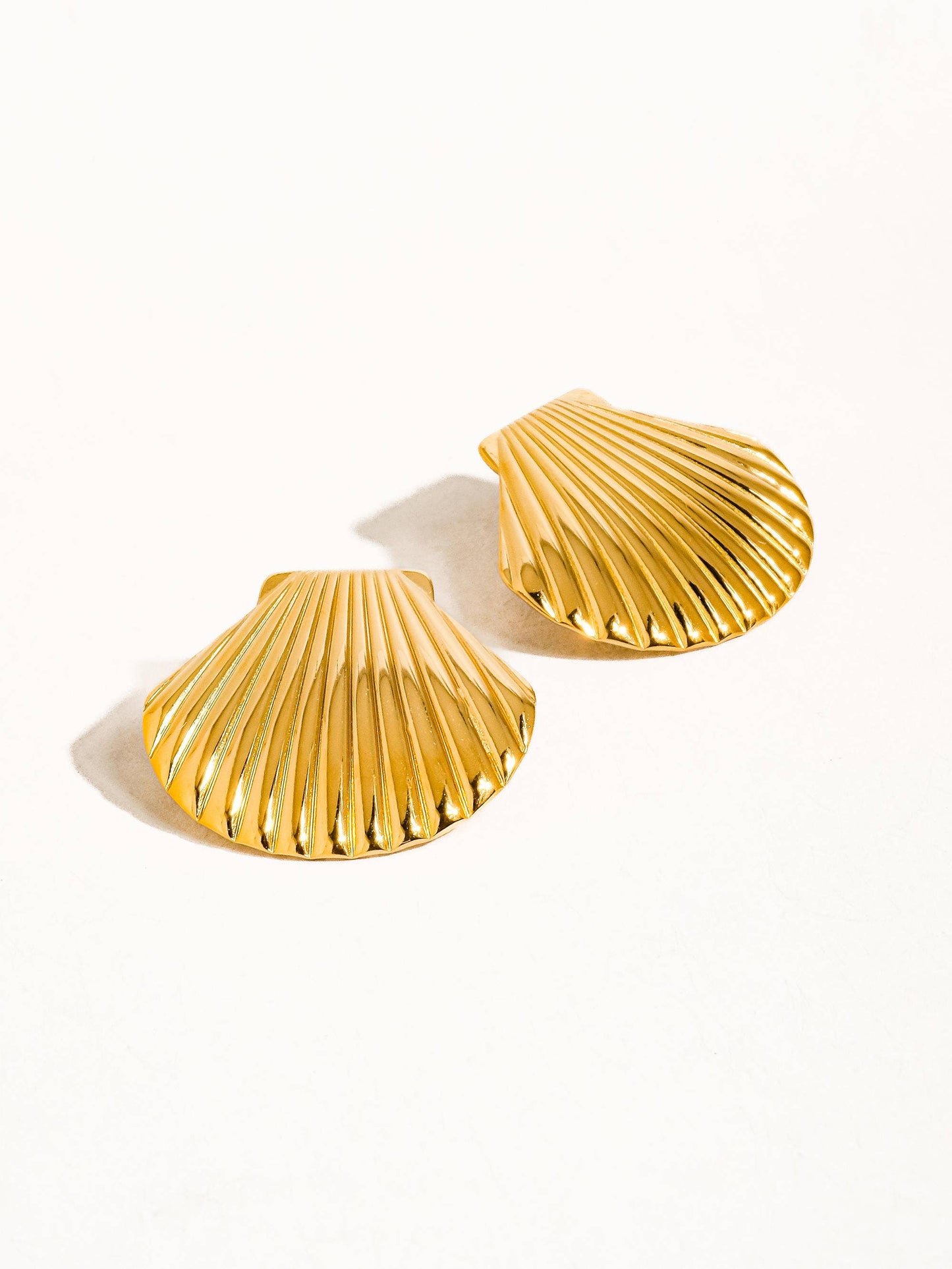 Large Shell Stud Earrings
