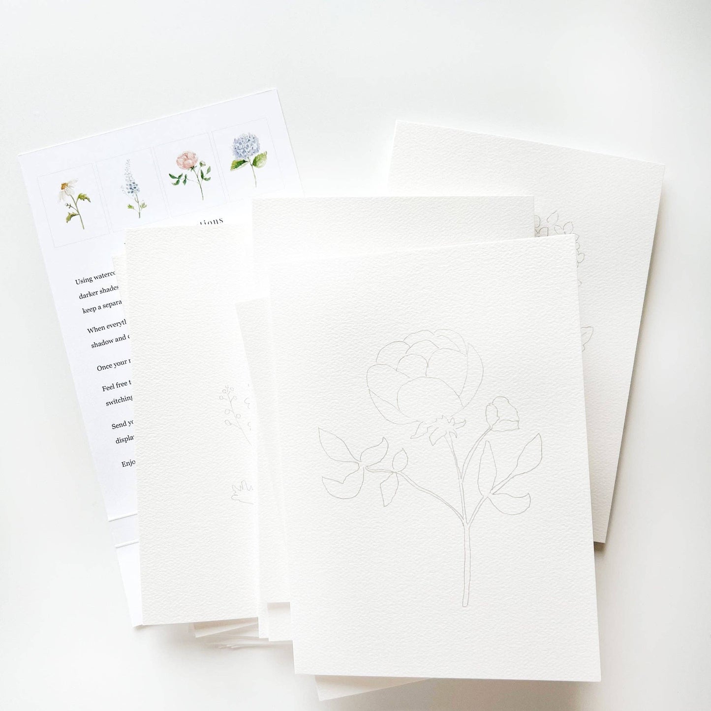 Emily Lex Studio Garden Flowers Paintable Notecards