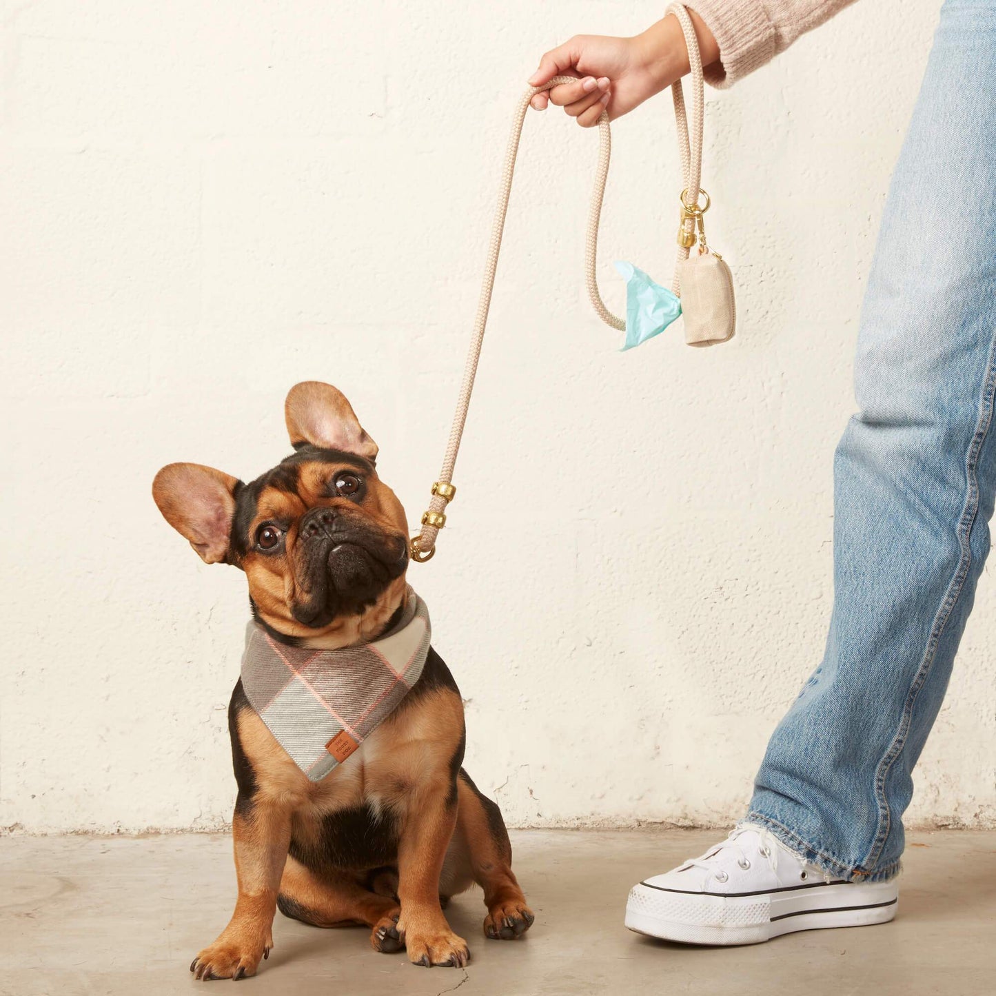 The Foggy Dog Sand Waxed Canvas Poop Bag Dispenser