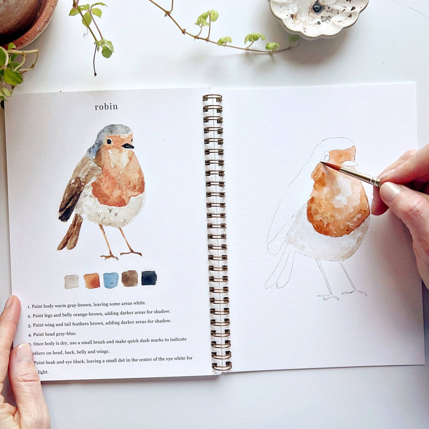 Emily Lex Studio Birds Watercolor Workbook