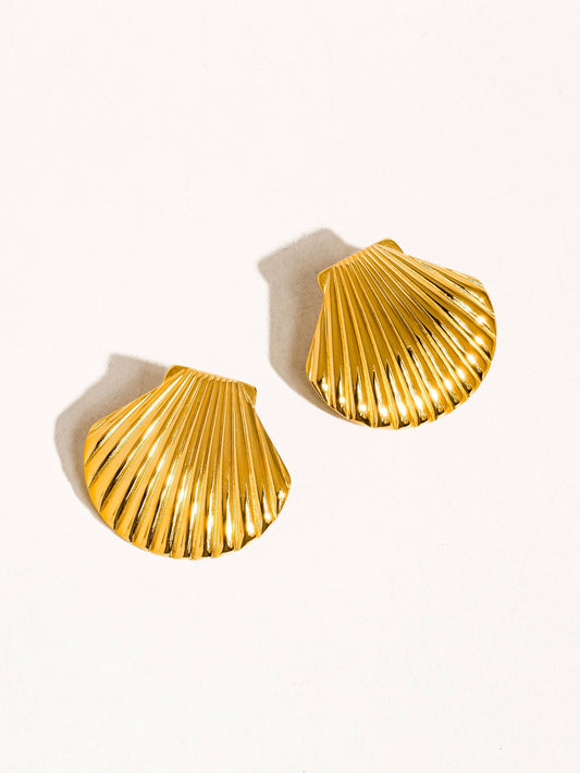 Large Shell Stud Earrings