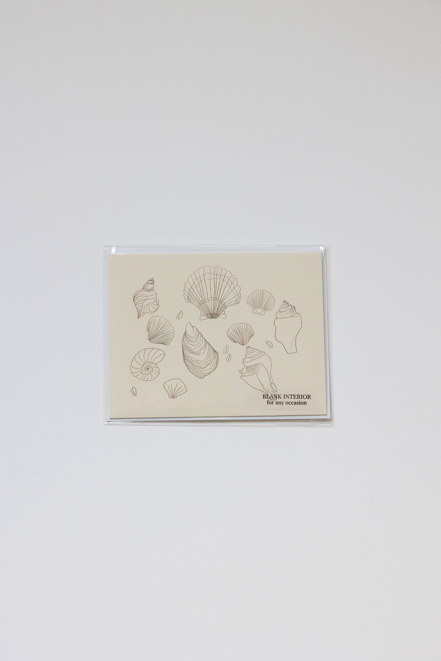 Shell Greeting Card