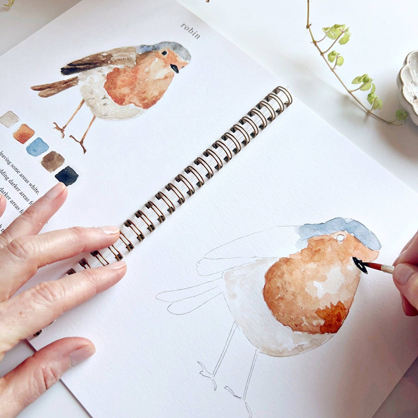 Emily Lex Studio Birds Watercolor Workbook