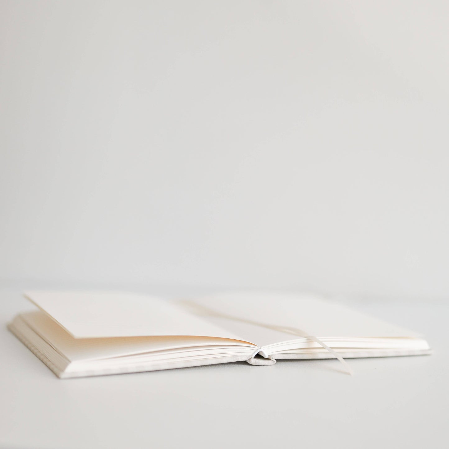 Gingham Journal